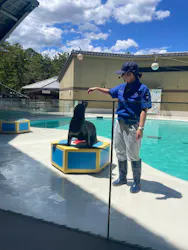 みやじマリン宮島水族館に投稿された画像(2026/8/8)