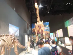 福井県立恐竜博物館に投稿された画像(2026/8/8)