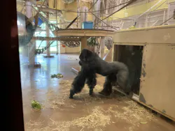名古屋市東山動植物園に投稿された画像(2026/8/8)