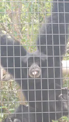 名古屋市東山動植物園に投稿された画像(2026/8/8)