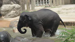 名古屋市東山動植物園に投稿された画像(2026/8/8)