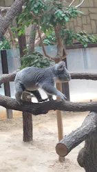 名古屋市東山動植物園に投稿された画像(2026/8/8)