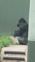 名古屋市東山動植物園に投稿された画像(2026/8/8)