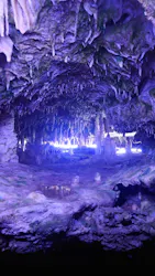 飛騨大鍾乳洞&大橋コレクション館に投稿された画像(2026/8/8)