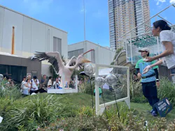 サンシャイン水族館に投稿された画像(2026/8/8)