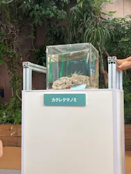 マクセル アクアパーク品川に投稿された画像(2026/8/8)
