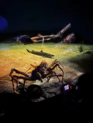 アクアワールド茨城県大洗水族館に投稿された画像(2026/8/8)