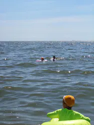 稲毛海浜公園(SUNSET BEACH PARK INAGE)に投稿された画像(2026/8/8)