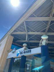 新江ノ島水族館に投稿された画像(2026/8/8)