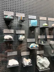 福井県立恐竜博物館に投稿された画像(2026/8/8)