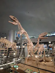 福井県立恐竜博物館に投稿された画像(2026/8/8)
