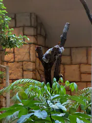 名古屋市東山動植物園に投稿された画像(2026/8/8)