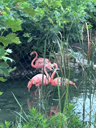 名古屋市東山動植物園に投稿された画像(2026/8/9)
