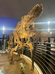 福井県立恐竜博物館に投稿された画像(2026/8/9)