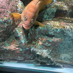名古屋港水族館に投稿された画像(2026/8/9)