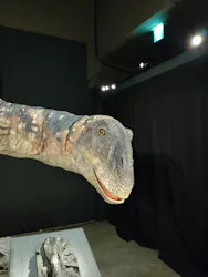 福井県立恐竜博物館に投稿された画像(2026/8/9)