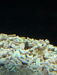 名古屋港水族館に投稿された画像(2026/8/9)