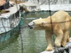 名古屋市東山動植物園に投稿された画像(2026/8/9)