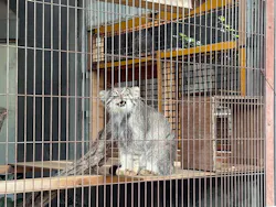 名古屋市東山動植物園に投稿された画像(2026/8/9)