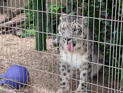 名古屋市東山動植物園に投稿された画像(2026/8/9)
