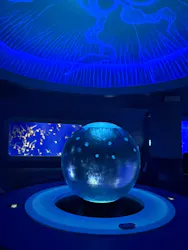 新江ノ島水族館に投稿された画像(2026/8/9)