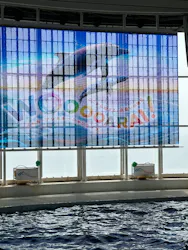 アクアワールド茨城県大洗水族館に投稿された画像(2026/8/9)