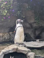 サンシャイン水族館に投稿された画像(2026/8/9)
