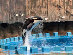 名古屋港水族館に投稿された画像(2026/8/9)