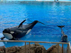 名古屋港水族館に投稿された画像(2026/8/9)