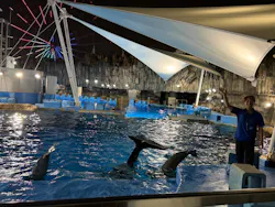 名古屋港水族館に投稿された画像(2026/8/9)