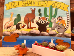 伊豆シャボテン動物公園に投稿された画像(2026/8/9)