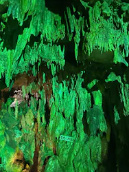 あぶくま洞に投稿された画像(2026/8/9)