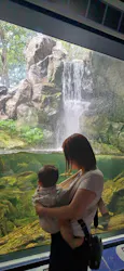滋賀県立琵琶湖博物館に投稿された画像(2026/8/10)