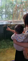 滋賀県立琵琶湖博物館に投稿された画像(2026/8/10)