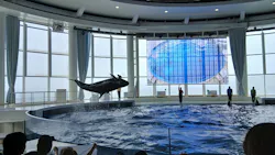 アクアワールド茨城県大洗水族館に投稿された画像(2026/8/10)