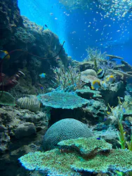 アクアワールド茨城県大洗水族館に投稿された画像(2026/8/10)