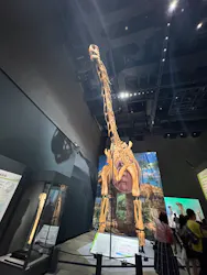 福井県立恐竜博物館に投稿された画像(2026/8/10)