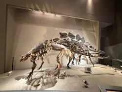 国立科学博物館に投稿された画像(2026/8/10)