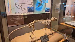 福井県立恐竜博物館に投稿された画像(2026/8/10)