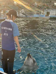 名古屋港水族館に投稿された画像(2026/8/10)