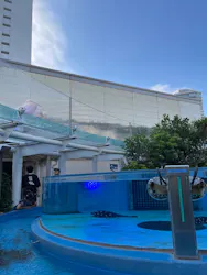 サンシャイン水族館に投稿された画像(2026/8/10)