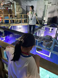 サンシャイン水族館に投稿された画像(2026/8/10)