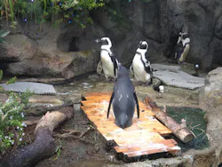 サンシャイン水族館に投稿された画像(2026/8/10)