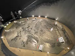 福井県立恐竜博物館に投稿された画像(2026/8/10)