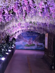 東京サマーランドに投稿された画像(2026/8/10)