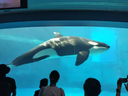 名古屋港水族館に投稿された画像(2026/8/11)