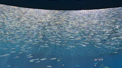 名古屋港水族館に投稿された画像(2026/8/11)