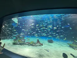 サンシャイン水族館に投稿された画像(2026/8/11)