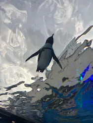 サンシャイン水族館に投稿された画像(2026/8/11)