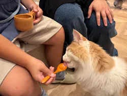 猫カフェモカ イオンモール羽生店に投稿された画像(2026/8/11)